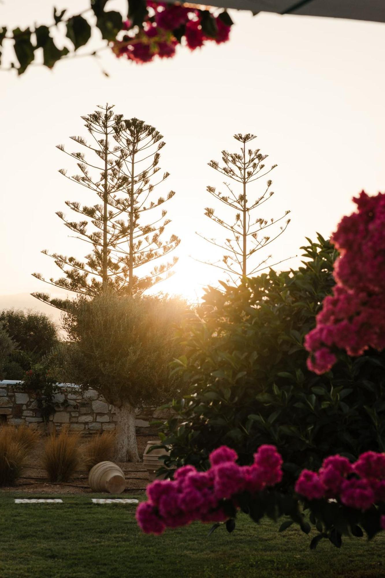 White Dunes Luxury Boutique Hotel Санта-Марія Екстер'єр фото
